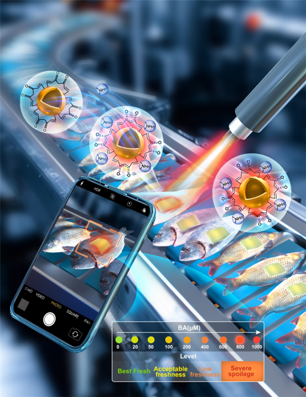 “貼一貼”就能知道食品新鮮度的新技術(shù)！貼片還可以重復(fù)利用