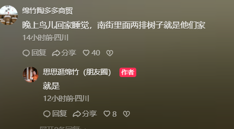 四川綿竹又現(xiàn)“萬(wàn)鳥歸巢”奇觀，市民：鳥群年年赴約，官方曾回應(yīng)是自然現(xiàn)象